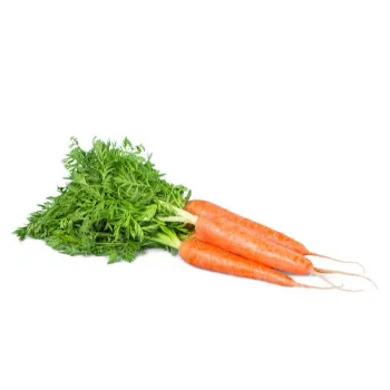 Fresh Red Carrot